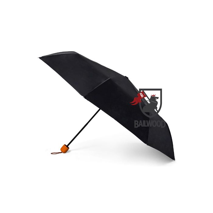 Foldable Umbrella