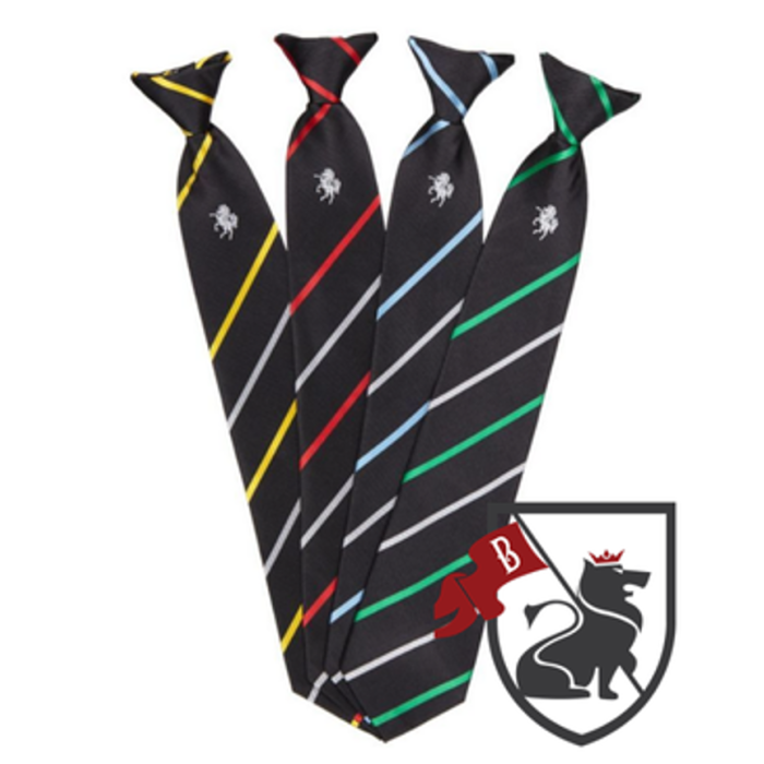 Official Forest Hill School Tie