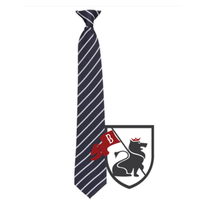 St. Marys  Primary School Tie