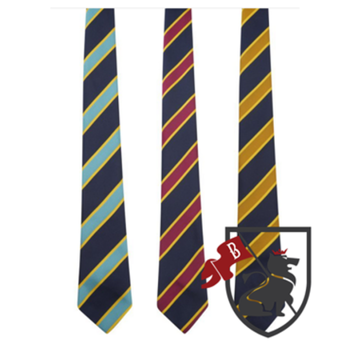 St Matthew Academy Tie